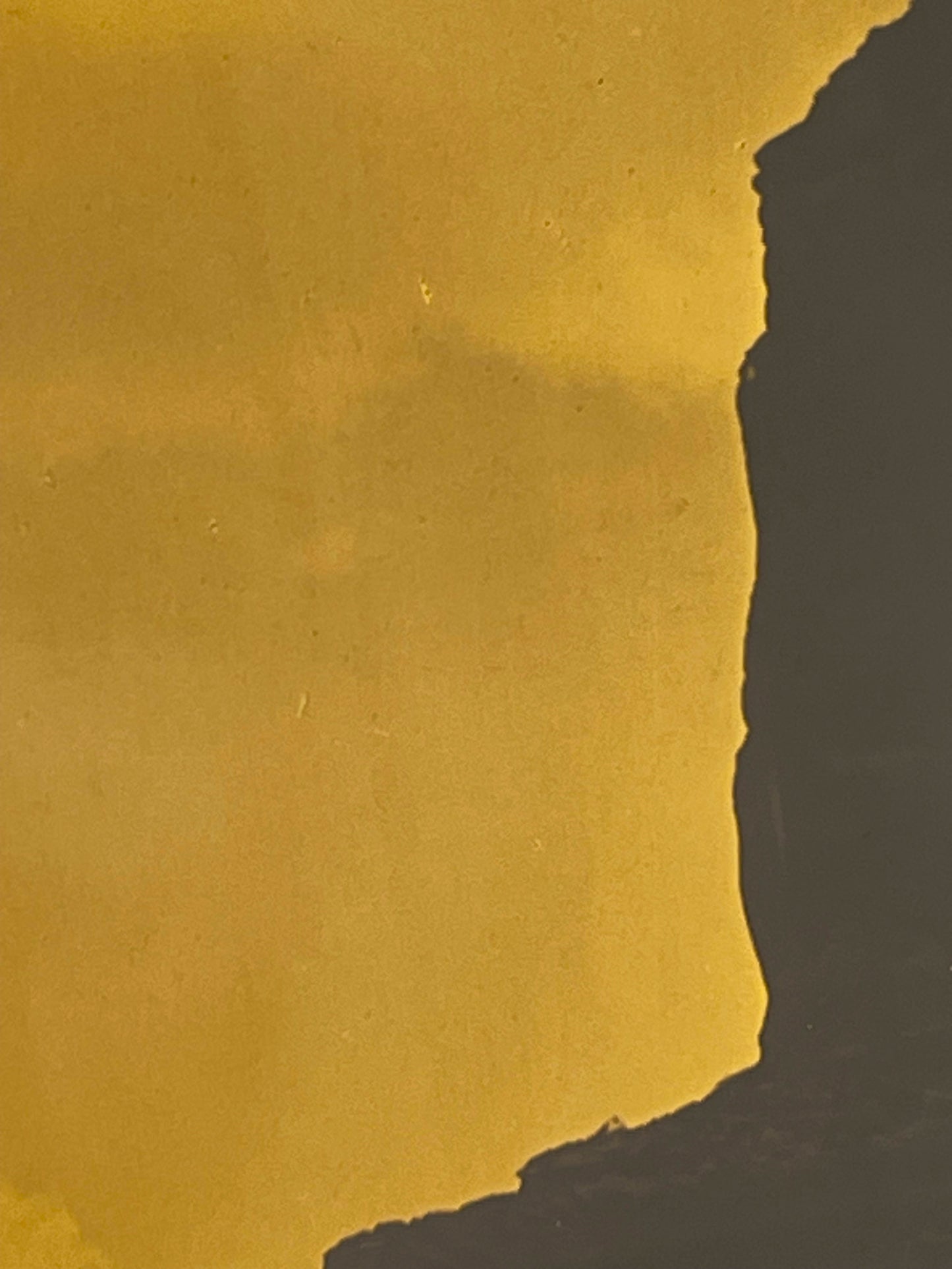 Edward S. Curtis 10 x 8 Orotone Canon Del Muerto / Canyon of the Dead