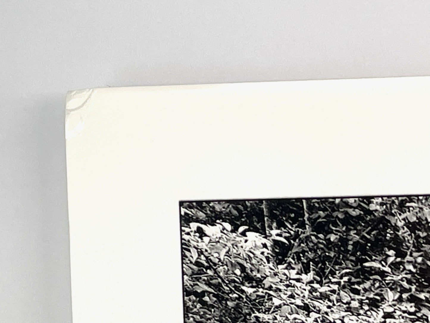 Signed Large Photograph James Bouden Antique Steam Tractors Steel Mules