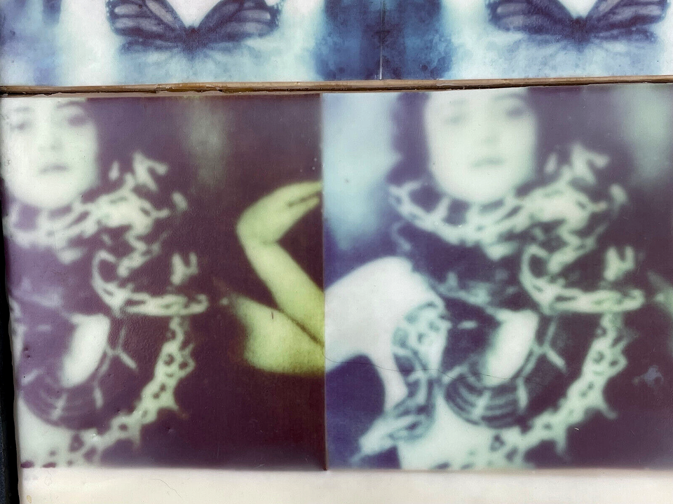 Unique Contemporary Surreal Encaustic Photographic Art Butterfly Snake Anthropomorphic