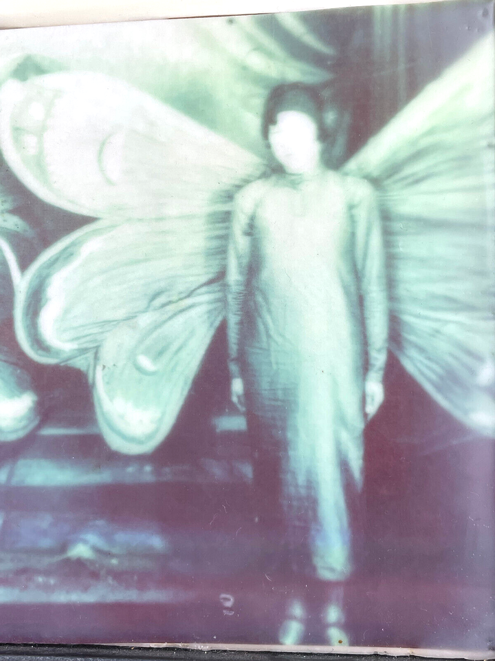 Unique Contemporary Surreal Encaustic Photographic Art Butterfly Snake Anthropomorphic