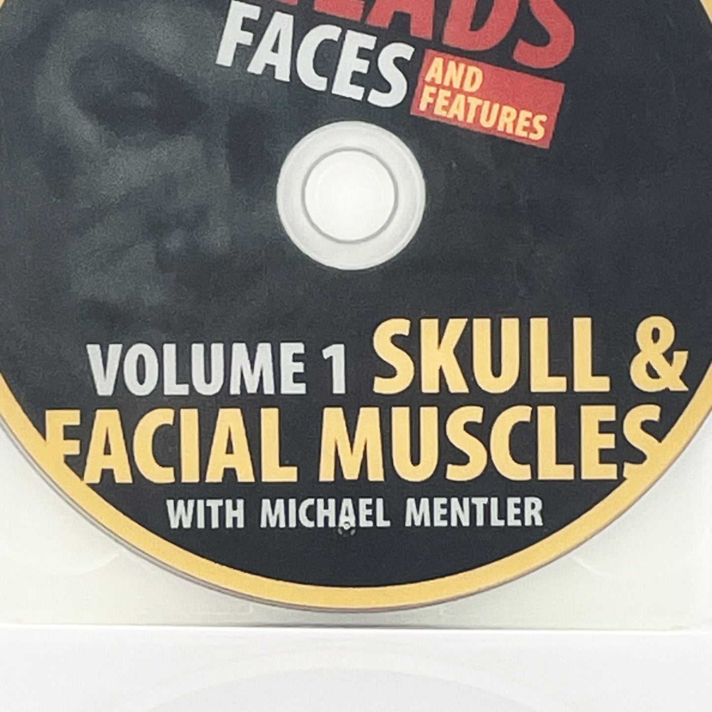 Michael Mentler Vol 1 Art Instruction DVD Skull and Facial Muscles