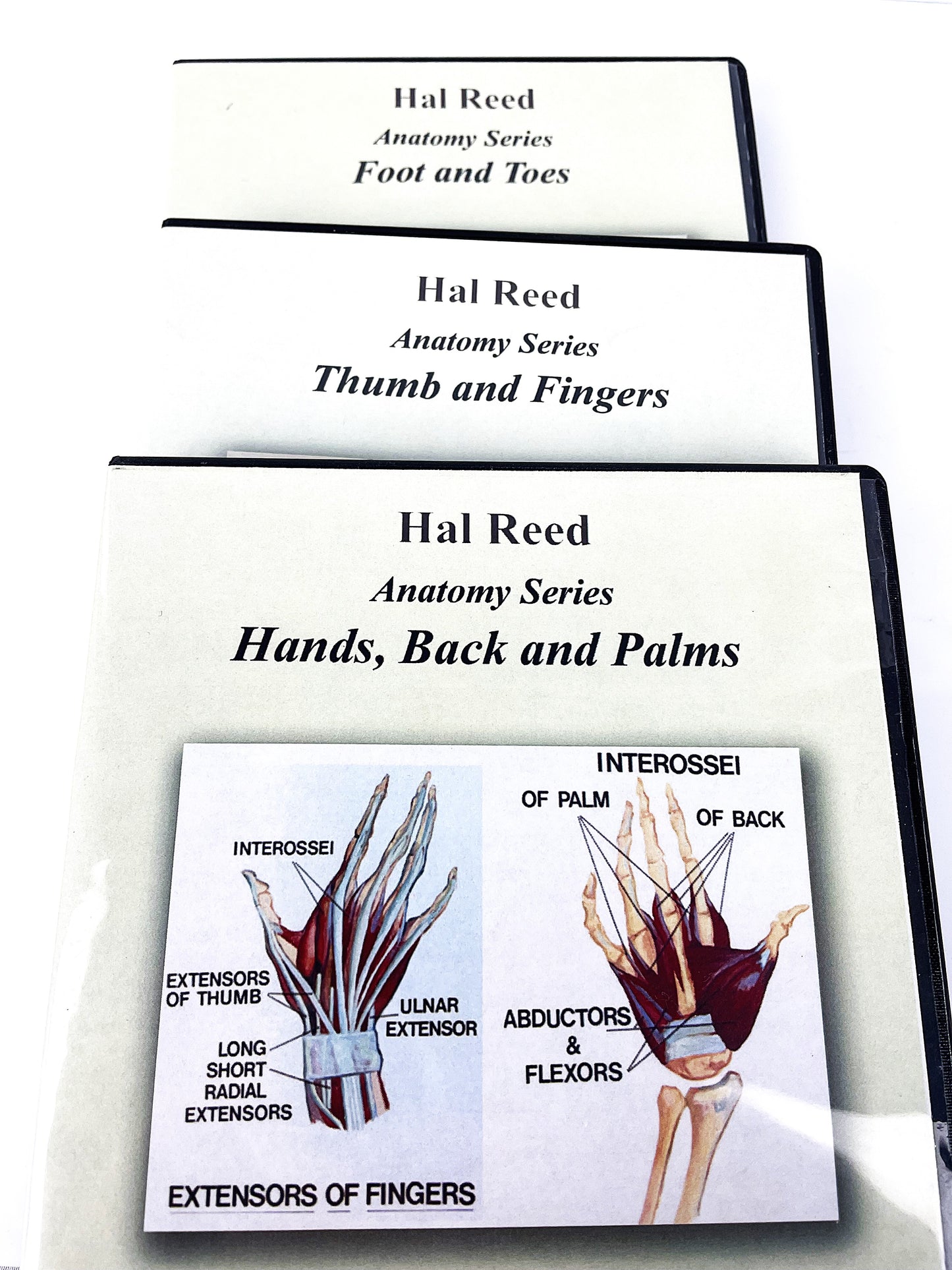 Hal Reed 3-Set Anatomy Art Instruction DVDs Hands and Feet