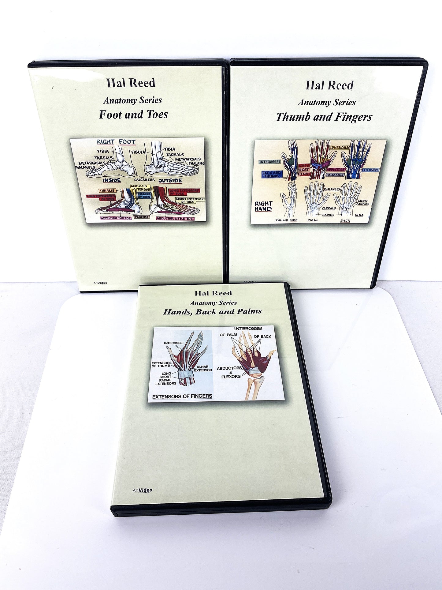 Hal Reed 3-Set Anatomy Art Instruction DVDs Hands and Feet