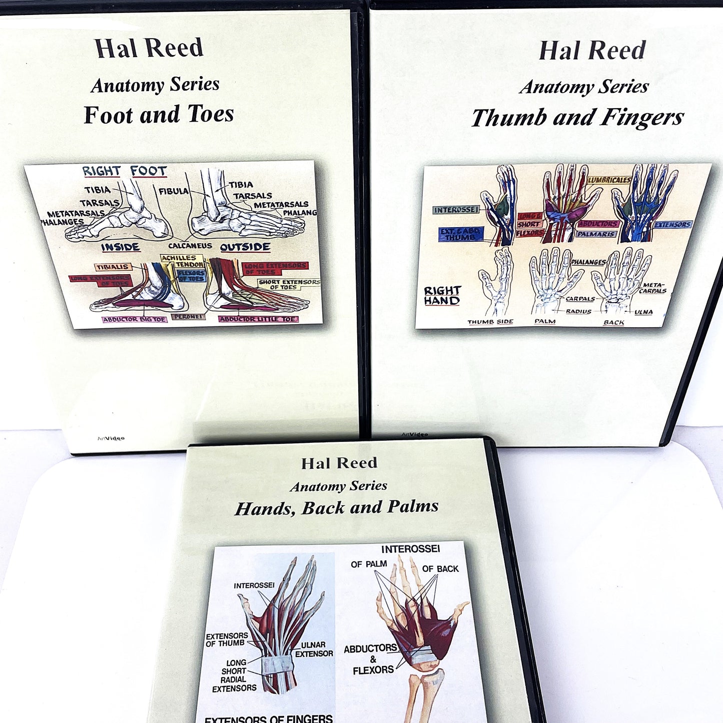 Hal Reed 3-Set Anatomy Art Instruction DVDs Hands and Feet