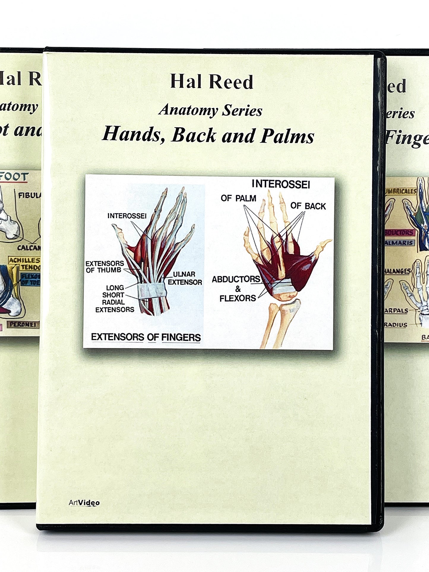 Hal Reed 3-Set Anatomy Art Instruction DVDs Hands and Feet