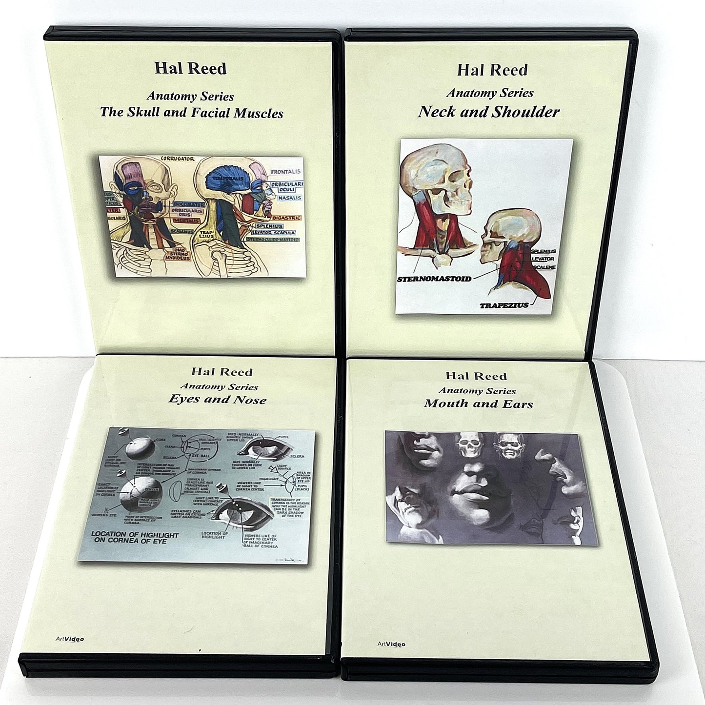 Hal Reed 4-Set Anatomy Art Instruction DVDs Head Face Neck