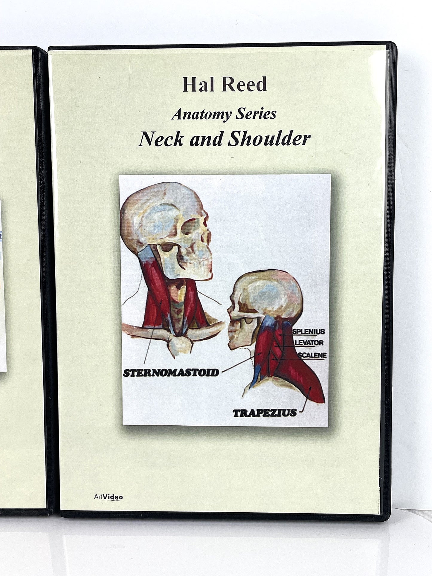 Hal Reed 4-Set Anatomy Art Instruction DVDs Head Face Neck