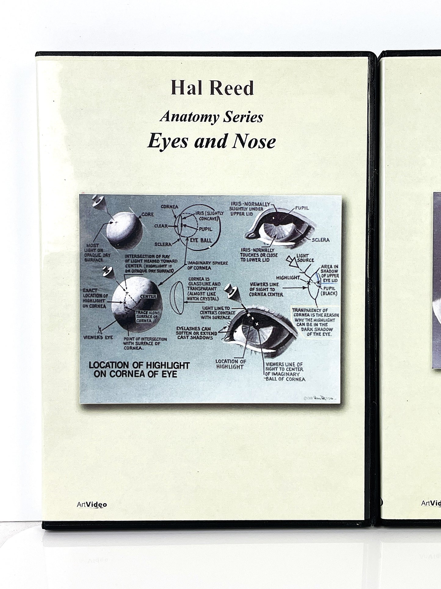 Hal Reed 4-Set Anatomy Art Instruction DVDs Head Face Neck