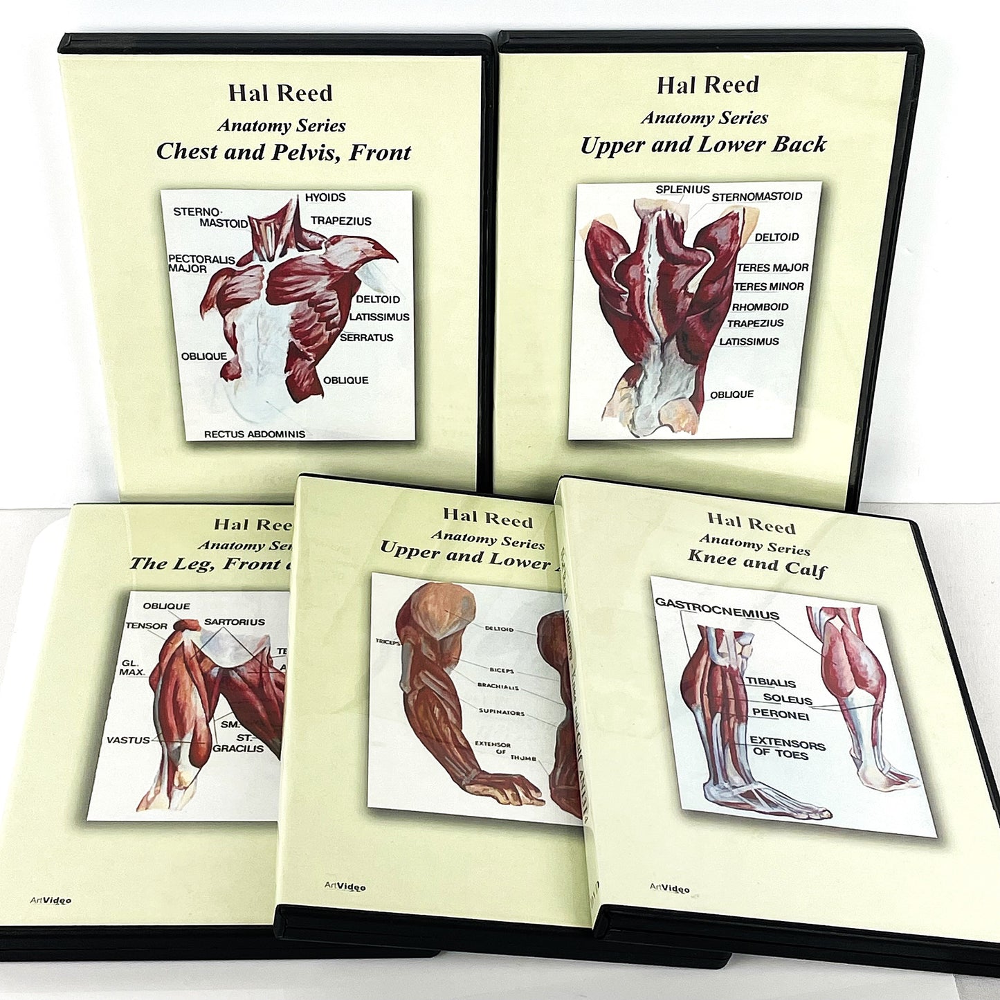 Hal Reed 5-Set Anatomy Art Instruction DVDs Torso and Extremities