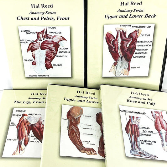 Hal Reed 5-Set Anatomy Art Instruction DVDs Torso and Extremities