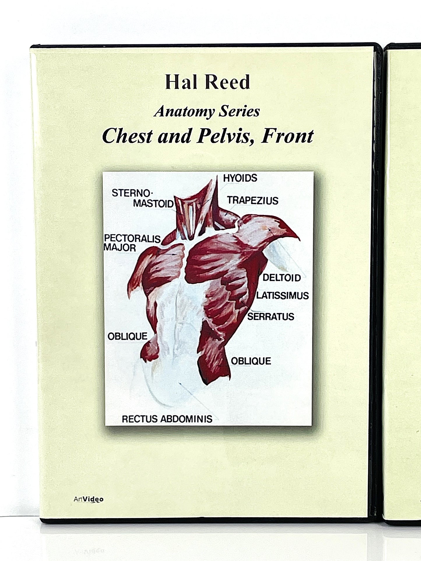 Hal Reed 5-Set Anatomy Art Instruction DVDs Torso and Extremities