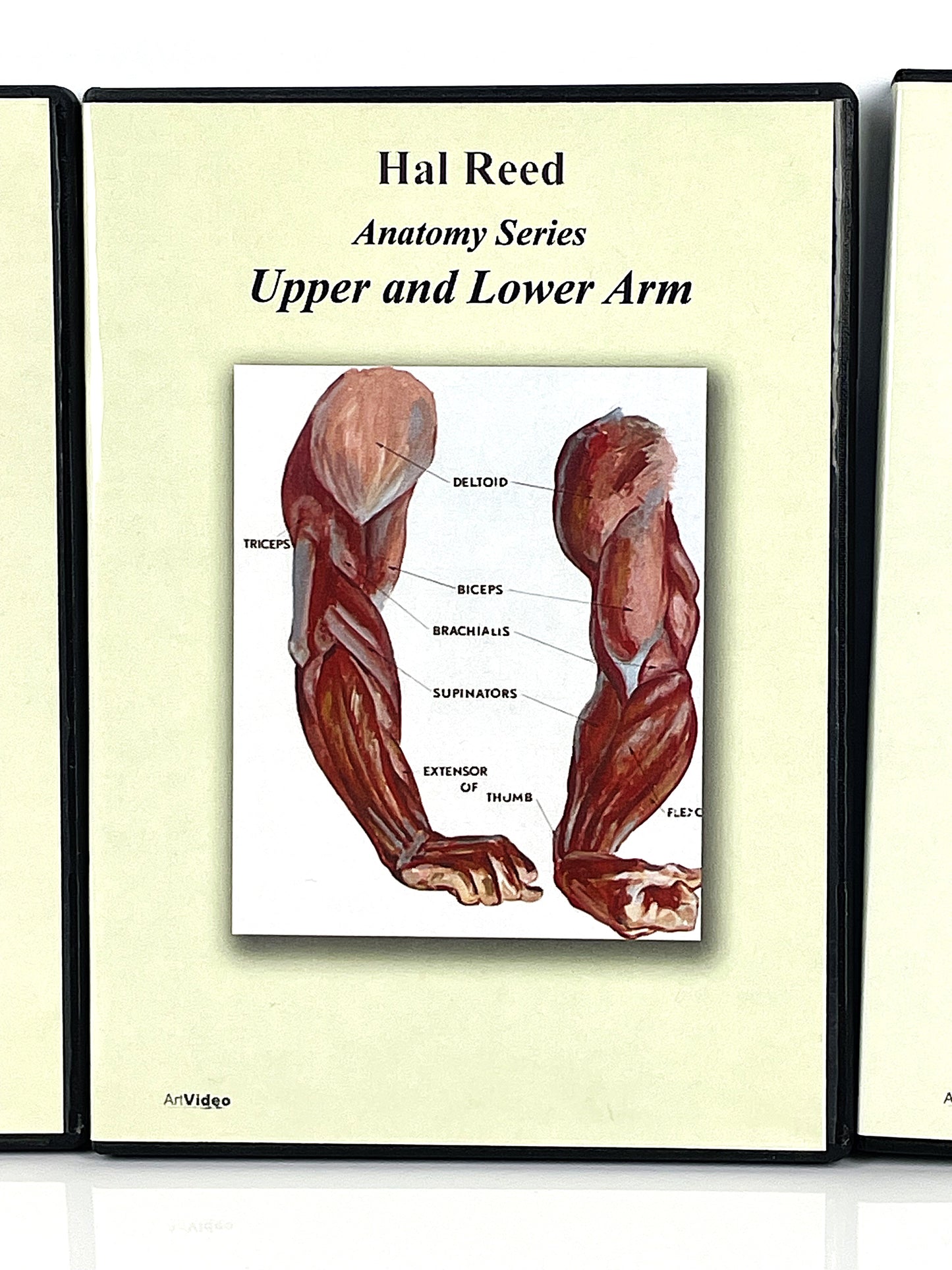 Hal Reed 5-Set Anatomy Art Instruction DVDs Torso and Extremities