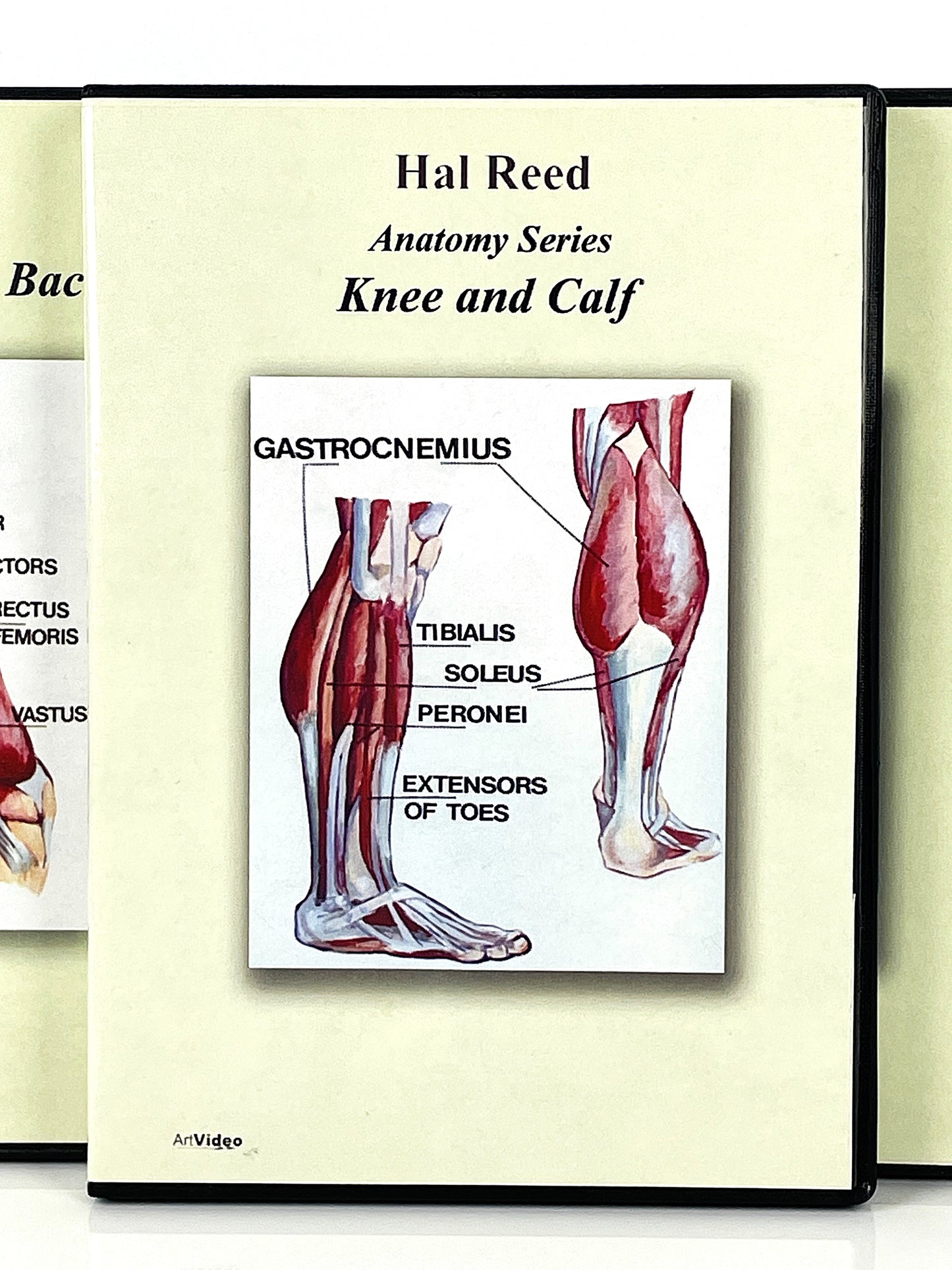 Hal Reed 5-Set Anatomy Art Instruction DVDs Torso and Extremities