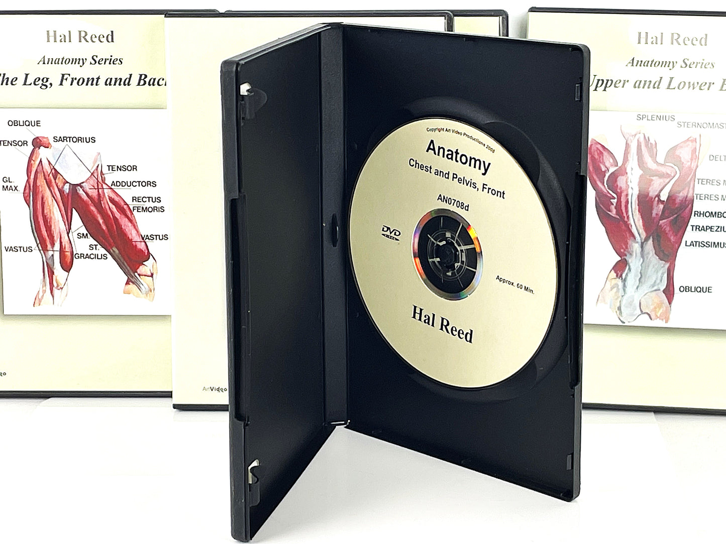 Hal Reed 5-Set Anatomy Art Instruction DVDs Torso and Extremities