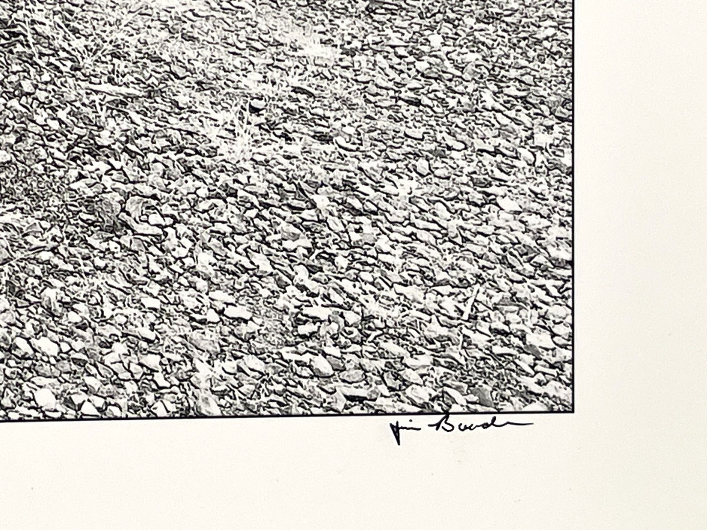 Signed Large Photograph James Bouden Antique Steam Tractors Steel Mules