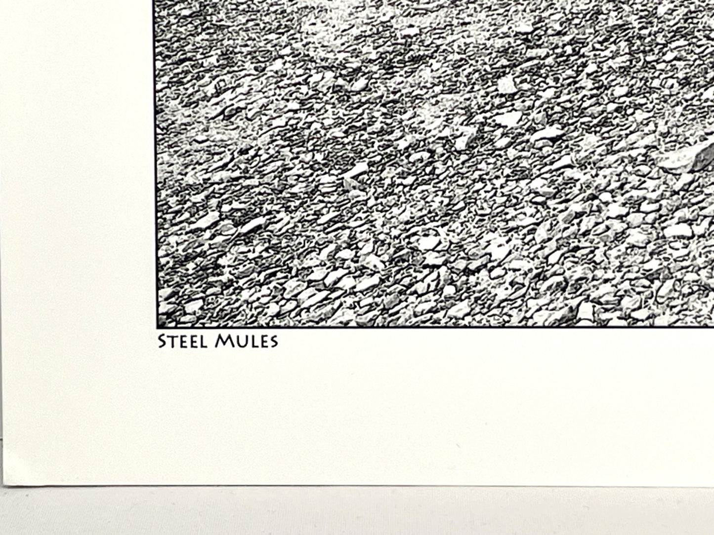 Signed Large Photograph James Bouden Antique Steam Tractors Steel Mules